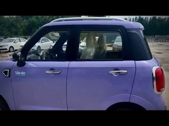 High-end elektrisch vierwielig voertuig met hoge kostenprestaties en goede kwaliteit