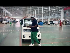 Elektrische voertuigen; Vierwielig elektrisch voertuig; Elektrische voertuigen; Passagierselektrische voertuigen; Elec