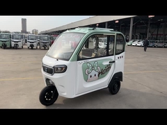 800W Passagier Met drie wielen 3 van passagiers Elektrische Volwassenen Wiel Elektrische Driewieler