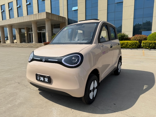 Linglong 3000WD/5000WD New Five-Door Four-Seat Four-Wheeled Electric Vehicle