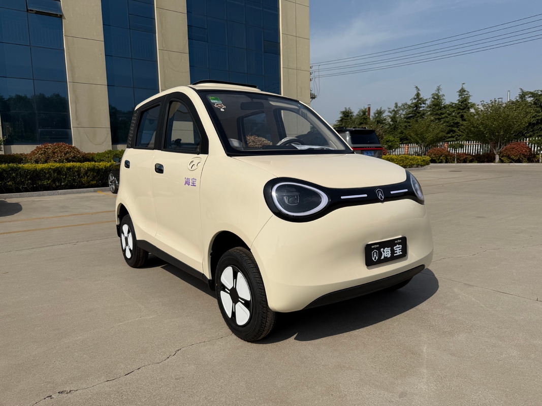 Linglong 3000WD/5000WD New Five-Door Four-Seat Four-Wheeled Electric Vehicle
